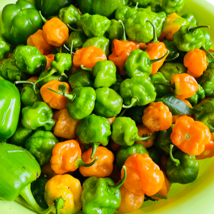 DESIGNER PEPESOS "GREEN" sauce, ayamase stew recipee